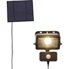 Eglo 900247-LED Solarni reflektor sa senzorom VILLAGRAPPA 15xLED/0,03W/3,7V IP44