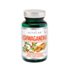 ActivLab Ashwagandha 60 ????.