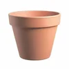 GLINENI SADILNI LONEC STANDARD 15 CM