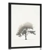 Plakat minimalistično listnato drevo - 20x30 no frame