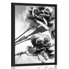 Plakat cvet naglja v črnobeli varianti - 40x60 black