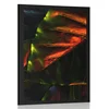 Plakat tropski palmovi listi - 60x90 no frame