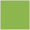 PAPIR U BOJI B1 200G BRISTOL COLOR PK10 CONNECT 230 PISTACIO