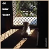 Go Get Mum - OK Now What (LP)