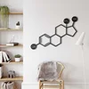 WallXpert metalni zidni ukras 5357, strukturna formula molekula estrogena, 75 x 53 cm, crni