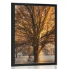 Plakat drevo v zasneženi deželi - 40x60 white