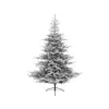 Everlands Novogodišnja jelka Grandis fir 210cm-150cm 68.1472