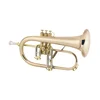 Krilovka Bb 1FR Conn Vintage One 704.080
