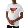 Chicago Bulls New Era Summer City Infill majica
