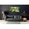 tulup.si Slika na steklu Forest grass nature rastlin 100x50 cm 2 obešalnika
