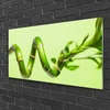tulup.si Slika na steklu Bamboo rastlin narava 120x60 cm 2 obešalnika