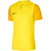 Dres Nike M NK DF TROPHY V JSY SS