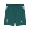 PUMA Borussia Mönchengladbach 26/27 Shorts Youth, Sports, Cold Green/Seafoam, 7-8Y