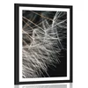 Plakat s paspartujem lepota regratove lučke - 30x45 no frame