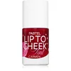 Pastel Lip To Cheek Tint tekoče rdečilo za ustnice in lica odtenek 01 Carmen 9,6 ml