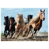 Puzzle Galopping Horses