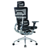 Ergonomska radna stolica HAVAS/M - Crna