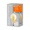 LEDVANCE SMART+ LEDVANCE SMART WiFi E27 6W Classic gold 2.400K - Steklo