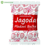 ZAMRZNUTA JAGODA PLODOVI BACKE 300GR (15) M3MC TRADE