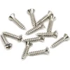 Fender Pickguard/Vintage Bridge Cover Screws Sheet Metal Oval Head 12 Pack