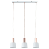 Paulmann 79657 - 3xE14/20W Luster na sajli NEORDIC HALDAR 230V