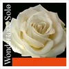 PIRASTRO strune za violino WONDERTONE 4/4 410021