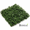 Zeleni panel - bršljan - zelena - 25 do 50 cm - 24 do 96 panelov/cena za kos: - 31 do 50 cm