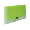 Organizator dokumentov z gumico PP A4 Opaline (13 predelkov) prozorno zelen
