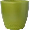Plastia Embalaža Perla - zeleni biser 11 cm