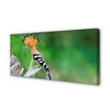 tulup.si Slika na platnu Drevo pisana papiga 125x50 cm