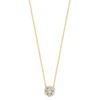 BLUSH 3097YZI