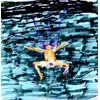 Dustin Wong - Dreams Say, View, Create, Shadow Leads (2 LP)