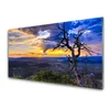 tulup.si Slika na steklu Drevo sunset 120x60 cm 4 obešalnika