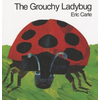 The Grouchy Ladybug