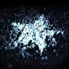 The Rions - Everything Every Single Day (Transparent White Coloured) (LP)