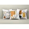 Aberto Design Set ukrasnih jastučnica Asr_plw25-15, 43x43 cm, 3 komada, Šarene