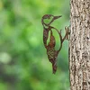 Atelier Del Sofa Dekorativna figura Bird On The Branch 01, 18x30 cm, 1.5 mm