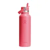 Thermo-insulated bottle, stainless steel, 620 ml, Standard Straw, Po