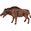 Mojo Entelodont Daeodon