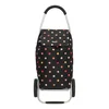 Beagles Alberic 15841A Dots