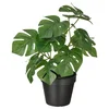 FEJKA Veštačka biljka u saksiji, unutra/spolja monstera, 12 cm