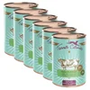 Terra Canis ?Grain-free Beef with courgette, pumpkin & oregano 6 x 400 g