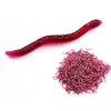 shumee Umetni črvi RDEČI DEŽEVNIK Dendrobena MUCK 3,5 cm 100x