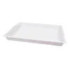 PlayBox: Plastični beli pladenj z ročaji 41x31cm