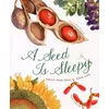 Seed Is Sleepy
