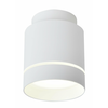 LED plafonsko svetlo TUBA LED/12W/230V