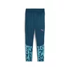 Puma INDIVIDUALFINAL TRAINING PANTS, moške hlače, modra 659021