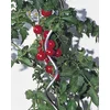 Windhager pritka za paradajz spiralna 180cm ( WH 05645 )