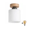 BRILAGI - LED plafonsko svetlo RETRO GLASS 1xE27/60W/230V O 10 cm hrast/bela
