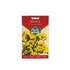 FLORIS cveće Statica žuta 0.3 g
